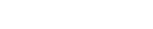 Security Services